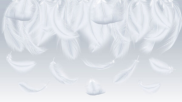Plumes blanches tombantes Plumes blanches tombantes