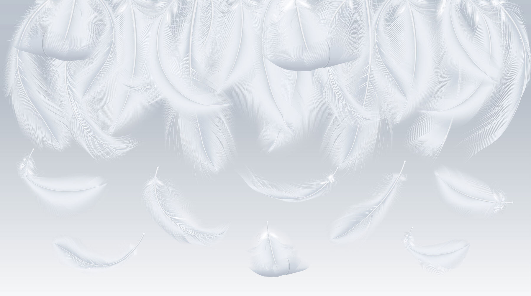 White feathers falling down