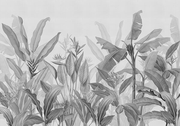 Gros plan sur les plantes Gros plan sur les plantes