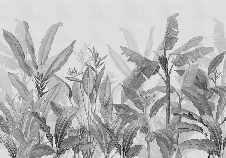 Gros plan sur les plantes