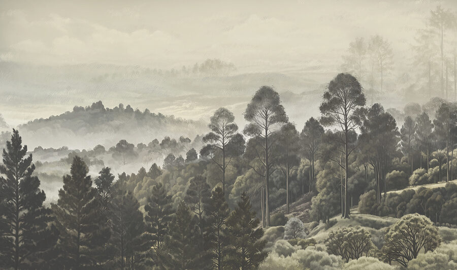 Paysage d'arbres et de brouillard