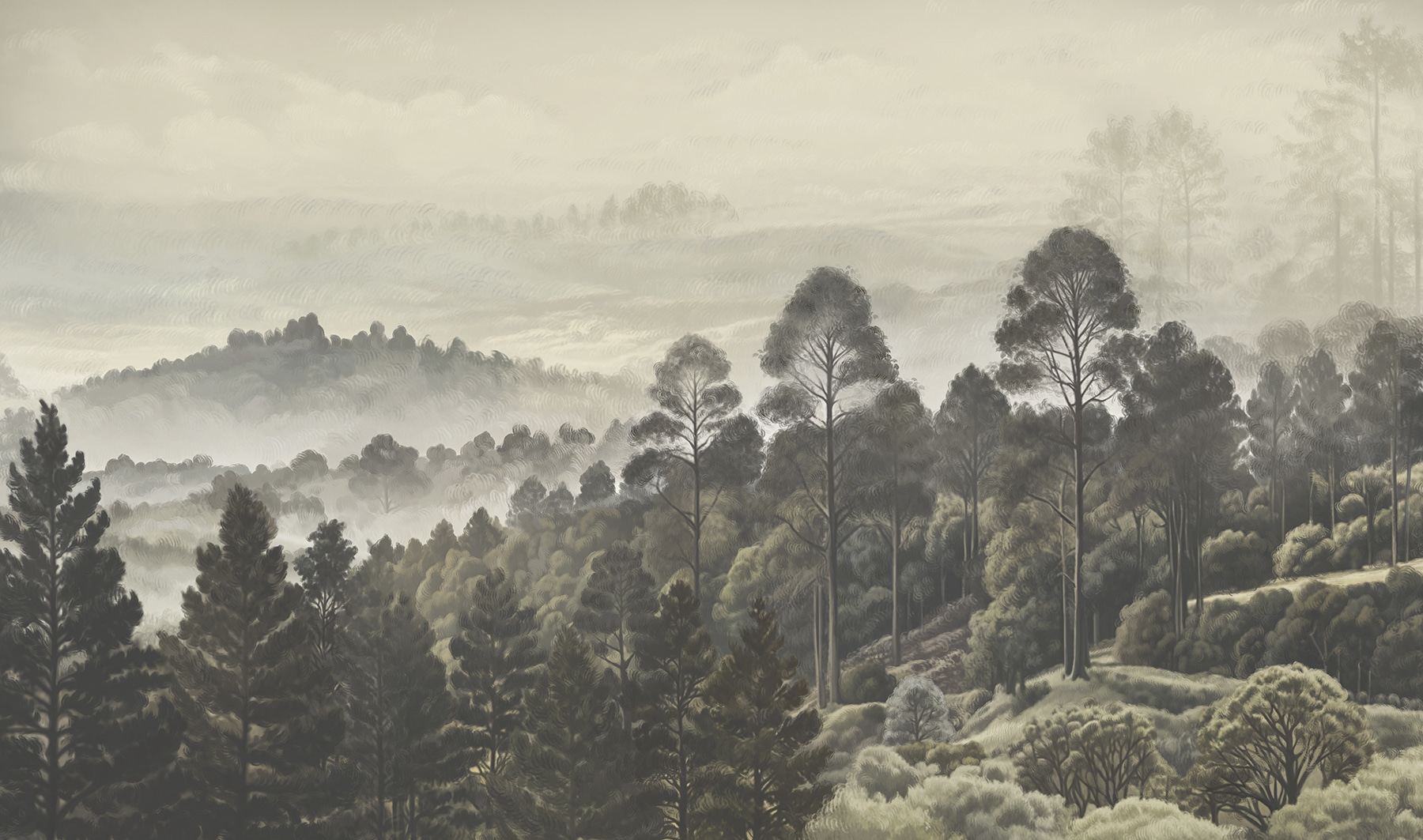 Landscape of trees and fog Landscape of trees and fog