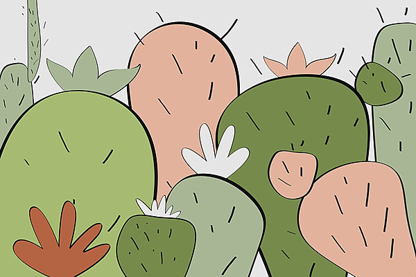 Groupe de cactus de formes différentes Groupe de cactus de formes différentes
