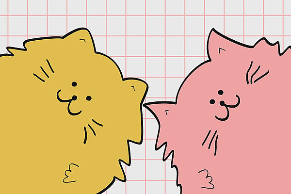 Chat jaune et rose Chat jaune et rose