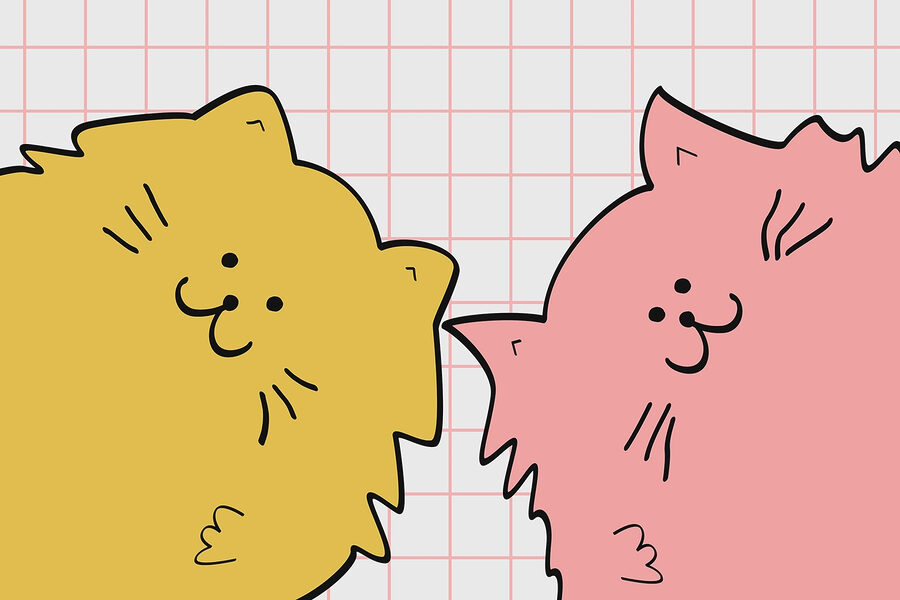 Chat jaune et rose