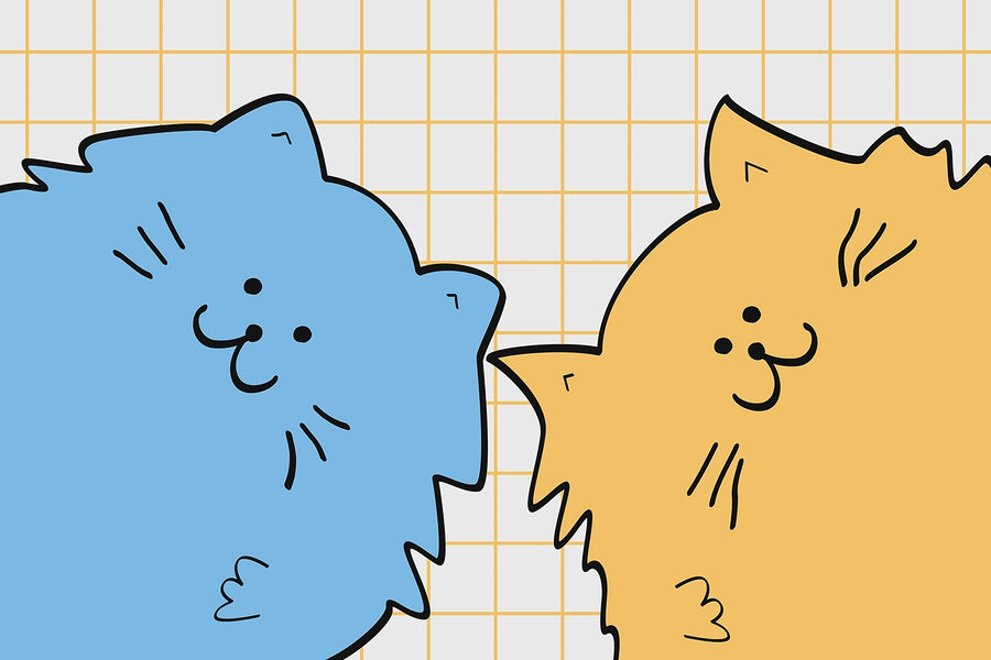Chat bleu et jaune