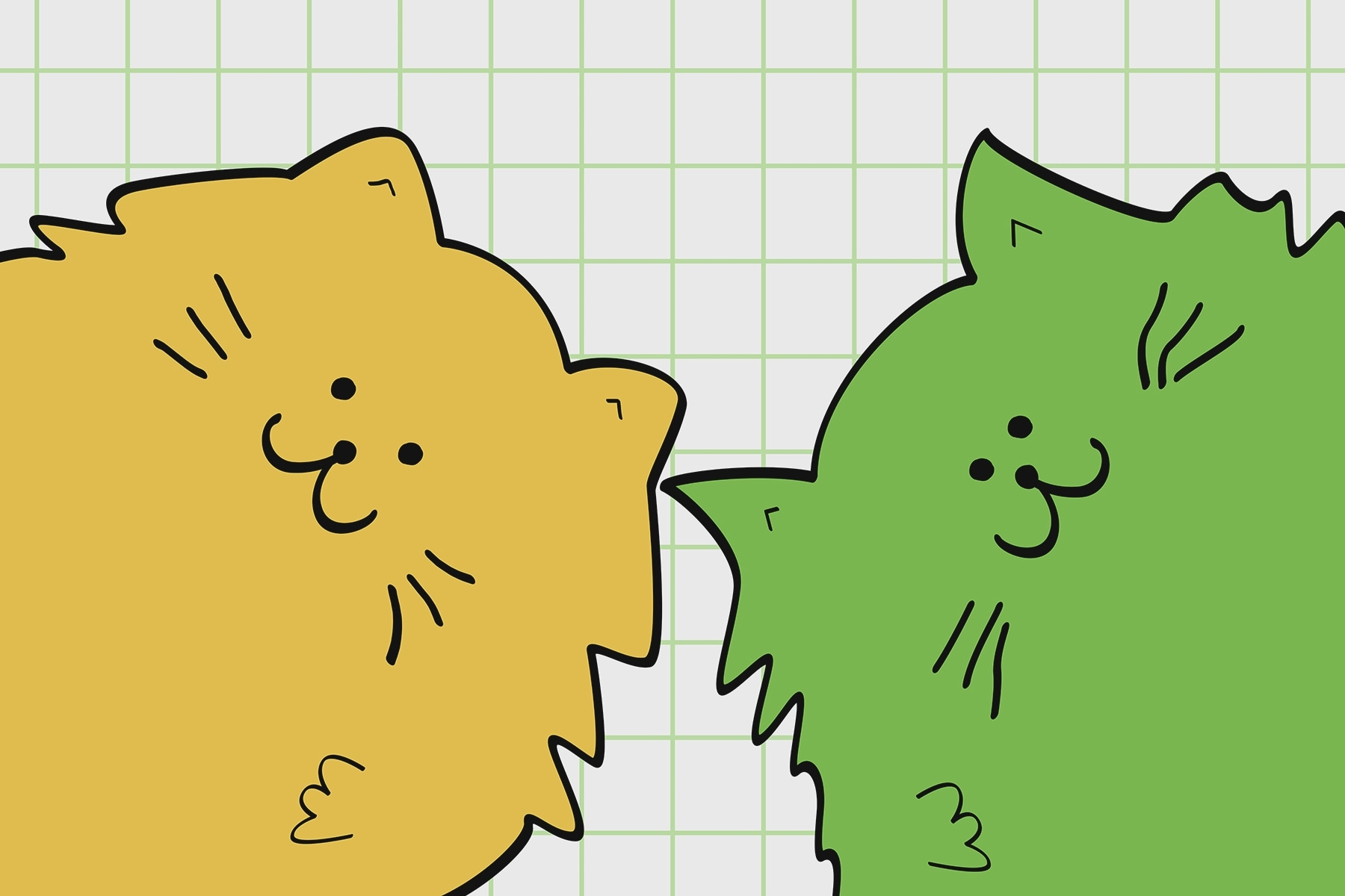 Yellow and green cat Yellow and green cat