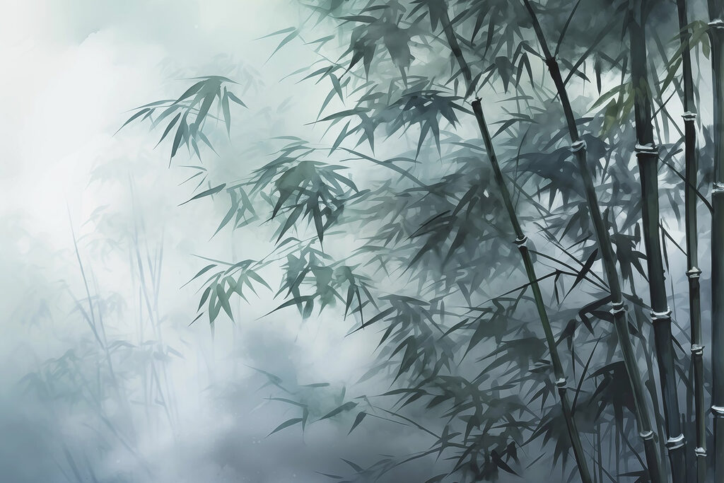 Bambous dans le brouillard Bambous dans le brouillard