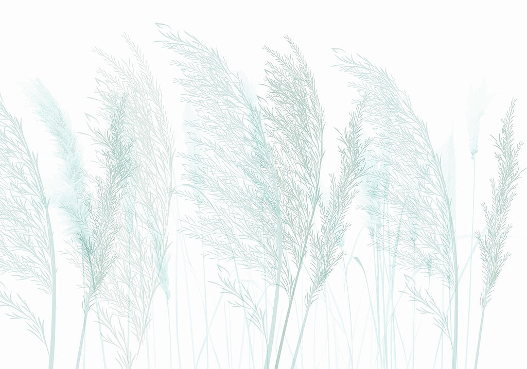 Gros plan sur l'herbe Gros plan sur l'herbe