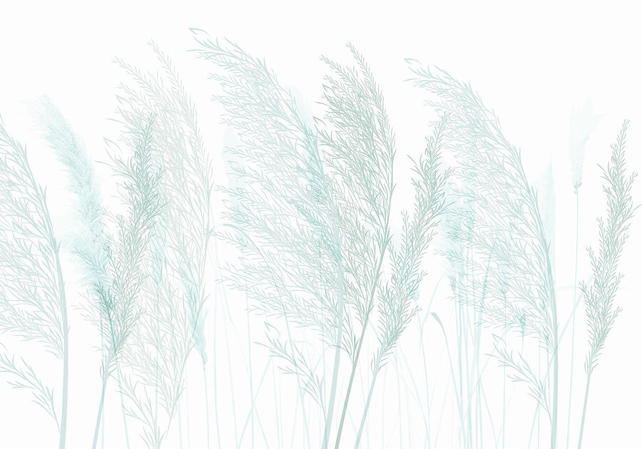 Gros plan sur l'herbe Gros plan sur l'herbe