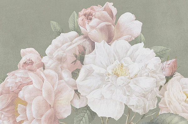 Gros plan sur des fleurs Gros plan sur des fleurs
