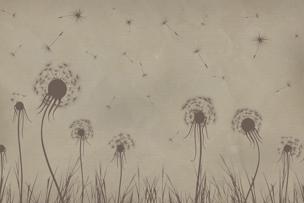 Pissenlits soufflant dans le vent Pissenlits soufflant dans le vent