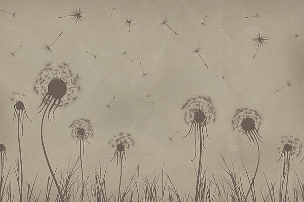 Pissenlits soufflant dans le vent Pissenlits soufflant dans le vent
