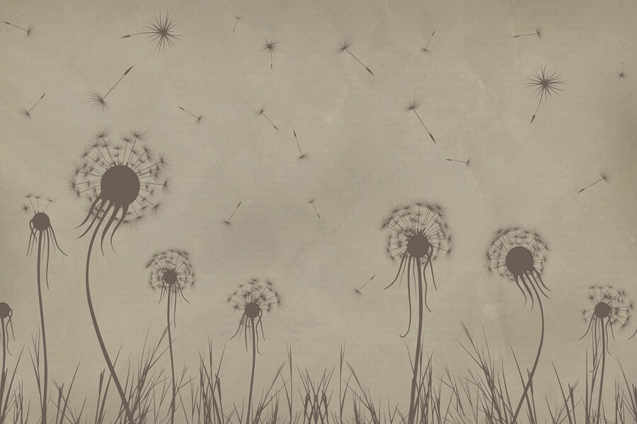 Pissenlits soufflant dans le vent