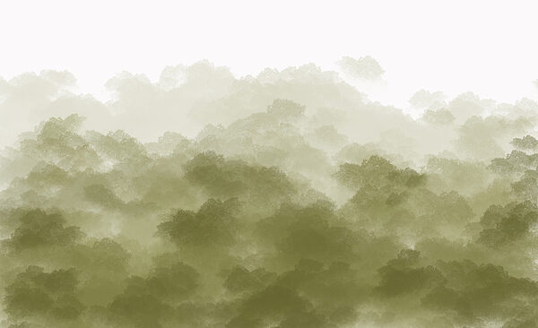 Forêt brumeuse avec fumée verte Forêt brumeuse avec fumée verte