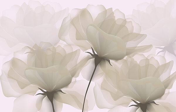 Groupe de fleurs blanches Groupe de fleurs blanches