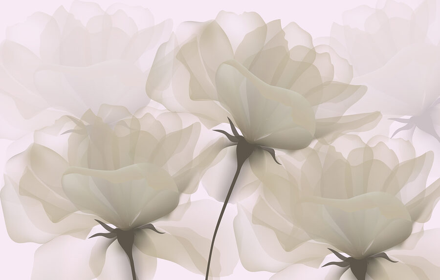 Groupe de fleurs blanches