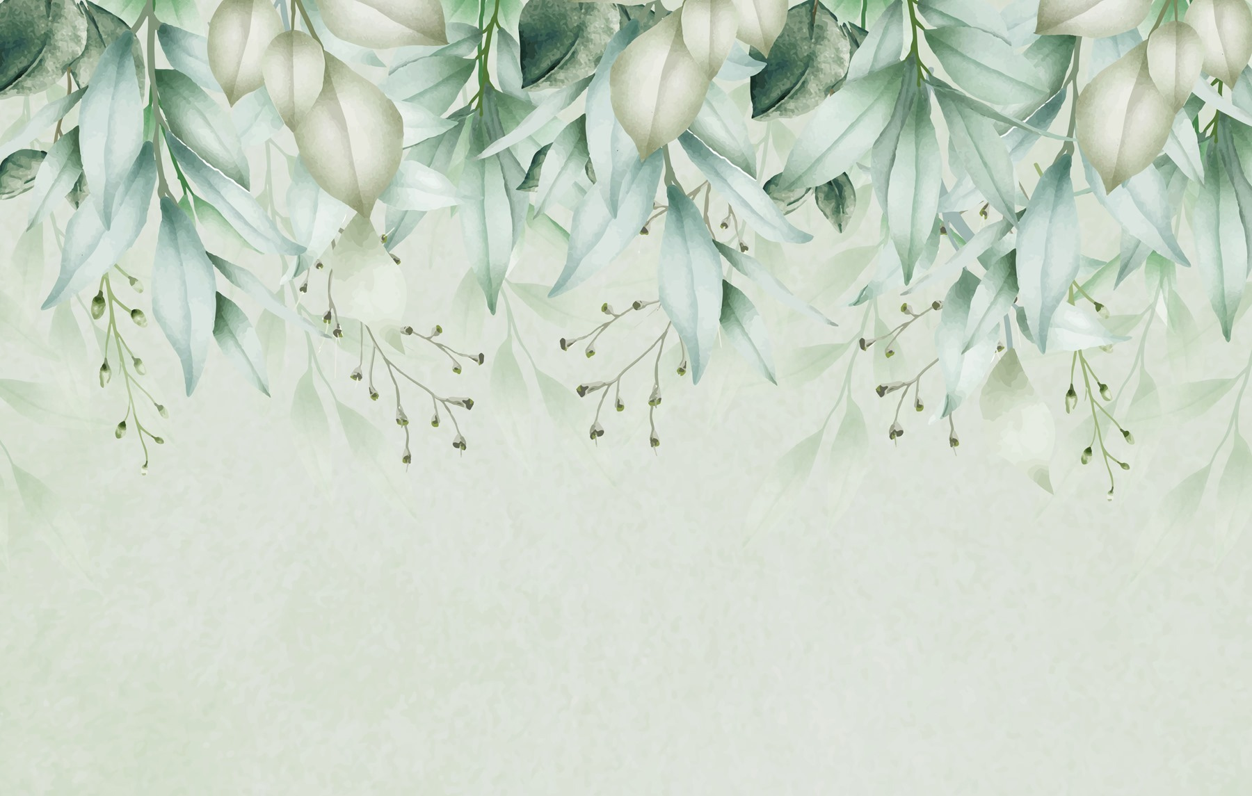 Close up of leaves Close up of leaves