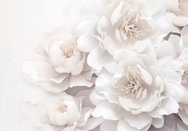 Groupe de fleurs blanches Groupe de fleurs blanches