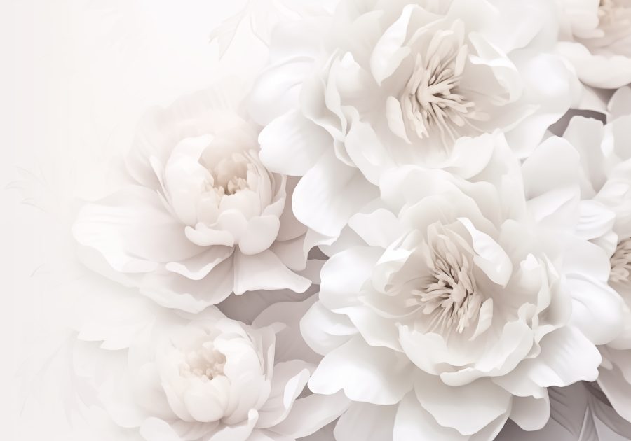 Groupe de fleurs blanches