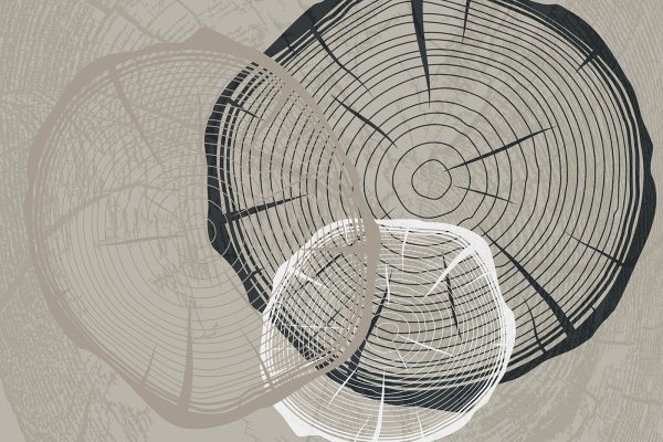 Les formes abstraites convergent dans le chaos Les formes abstraites convergent dans le chaos