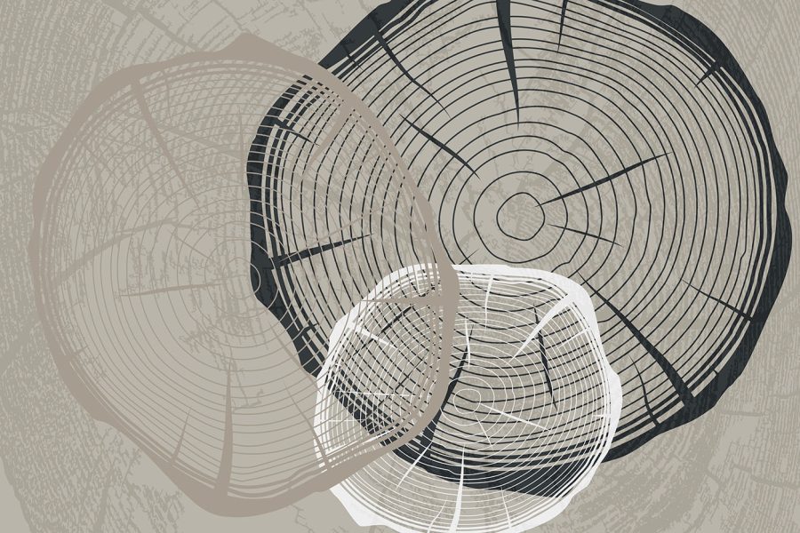 Les formes abstraites convergent dans le chaos Les formes abstraites convergent dans le chaos