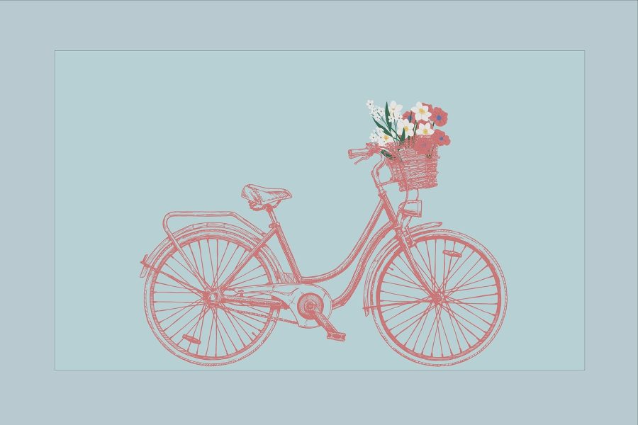 Bicyclette avec des fleurs dans un panier Bicyclette avec des fleurs dans un panier