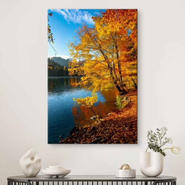 Lac avec des arbres et des feuilles sur le sol Lac avec des arbres et des feuilles sur le sol