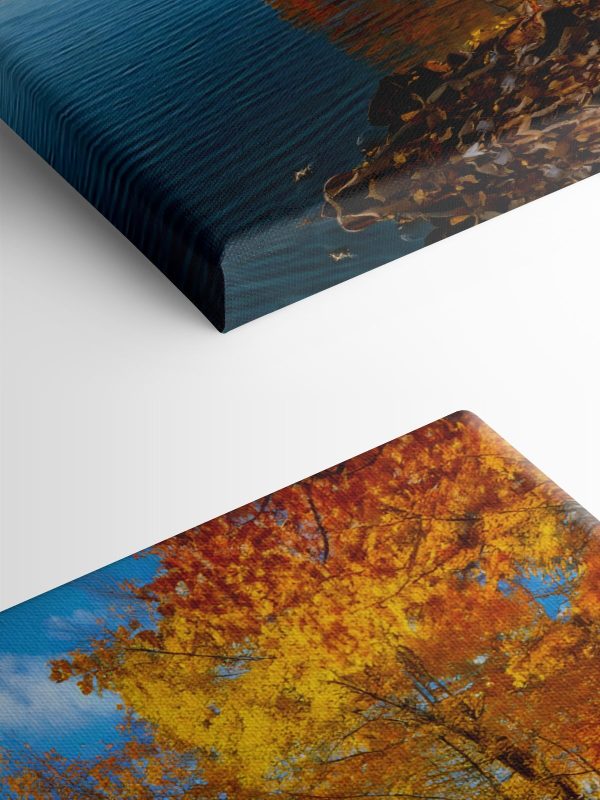 Lac avec des arbres et des feuilles sur le sol Lac avec des arbres et des feuilles sur le sol
