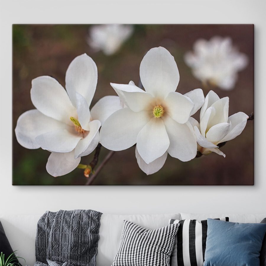 Groupe de fleurs blanches