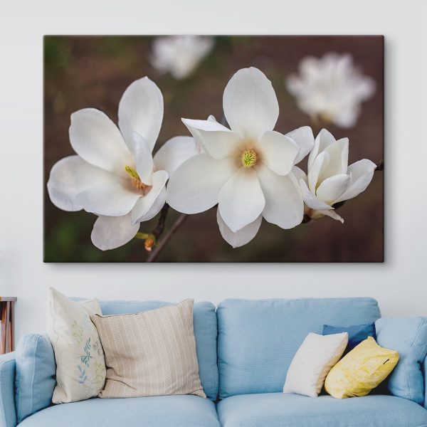 Groupe de fleurs blanches Groupe de fleurs blanches
