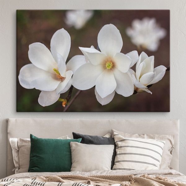 Groupe de fleurs blanches Groupe de fleurs blanches