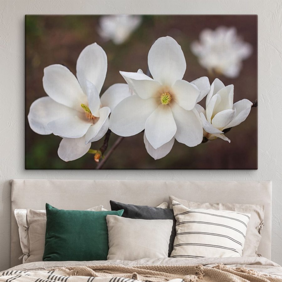 Groupe de fleurs blanches