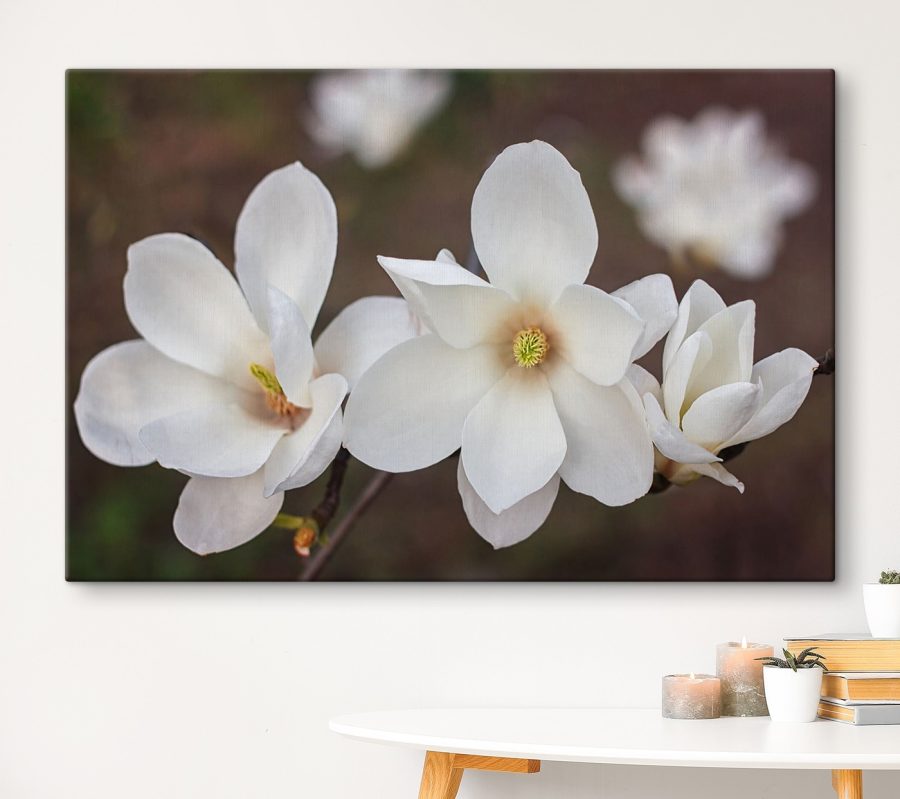 Groupe de fleurs blanches