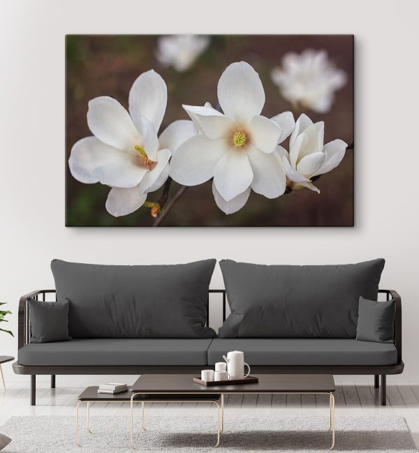 Groupe de fleurs blanches Groupe de fleurs blanches