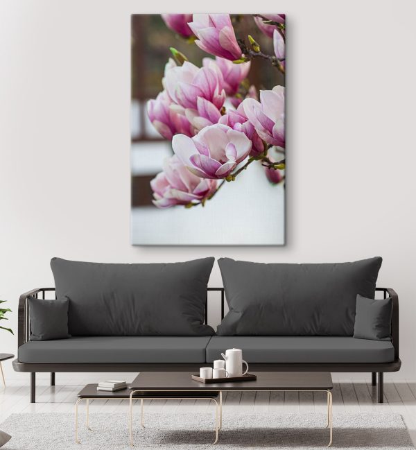 Les fleurs de magnolia du printemps nous appellent à nouveau. Les fleurs de magnolia du printemps nous appellent à nouveau.