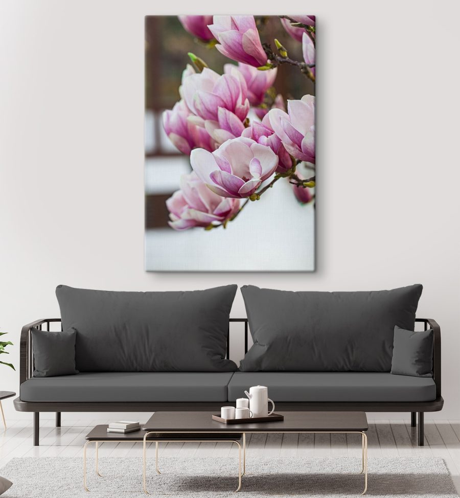 Les fleurs de magnolia du printemps nous appellent à nouveau.