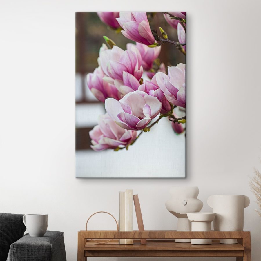 Les fleurs de magnolia du printemps nous appellent à nouveau.