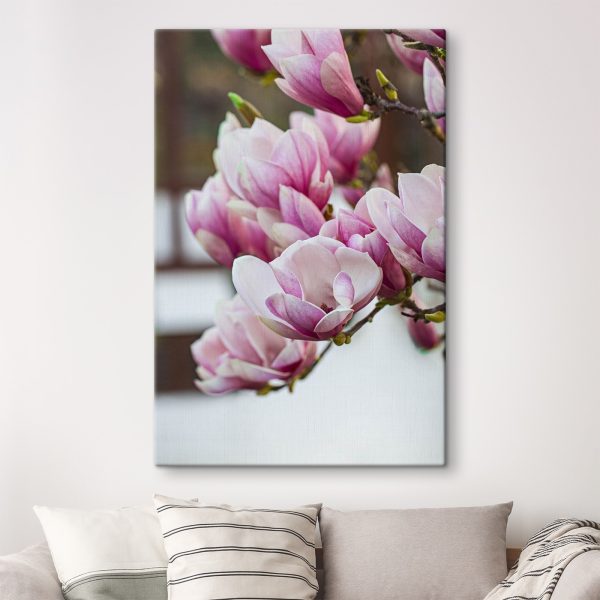 Les fleurs de magnolia du printemps nous appellent à nouveau. Les fleurs de magnolia du printemps nous appellent à nouveau.