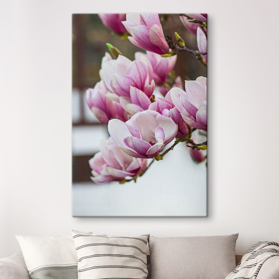 Les fleurs de magnolia du printemps nous appellent à nouveau.