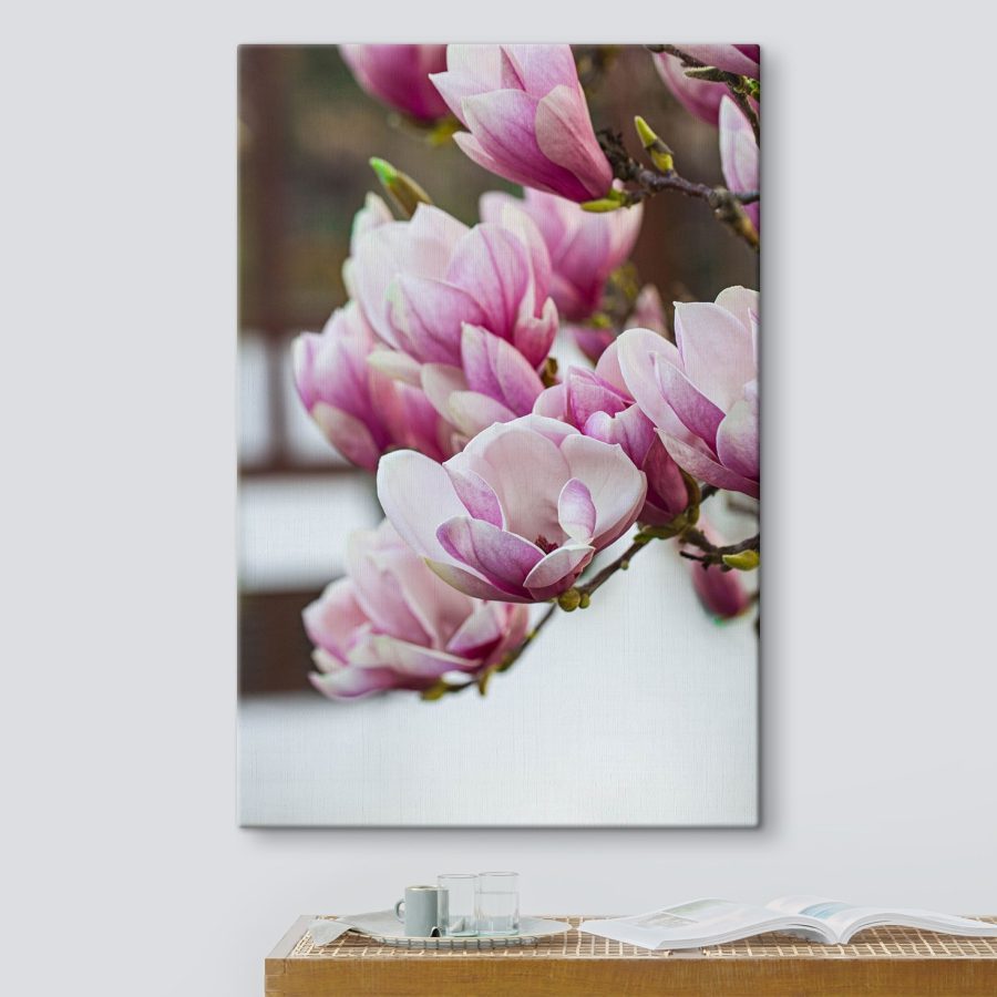 Les fleurs de magnolia du printemps nous appellent à nouveau.