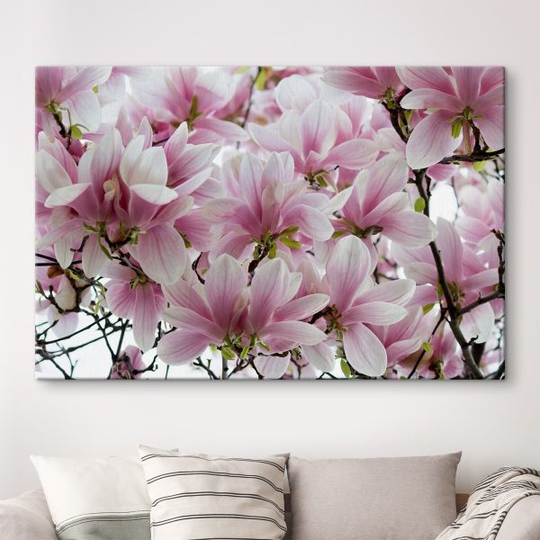 Groupe de fleurs roses Groupe de fleurs roses