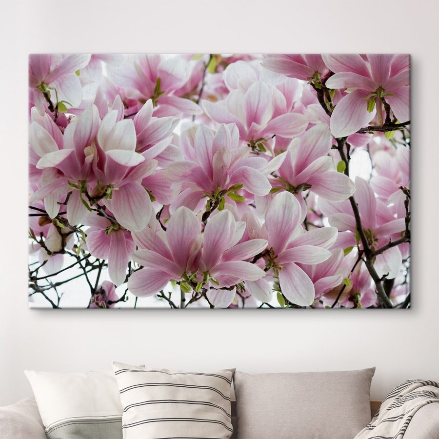 Groupe de fleurs roses Groupe de fleurs roses