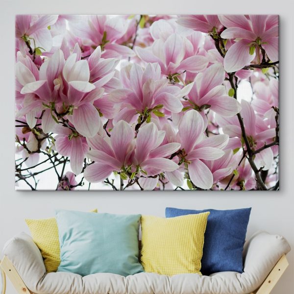 Groupe de fleurs roses Groupe de fleurs roses