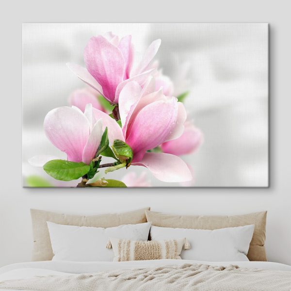 Magnolia rose en fleurs Magnolia rose en fleurs