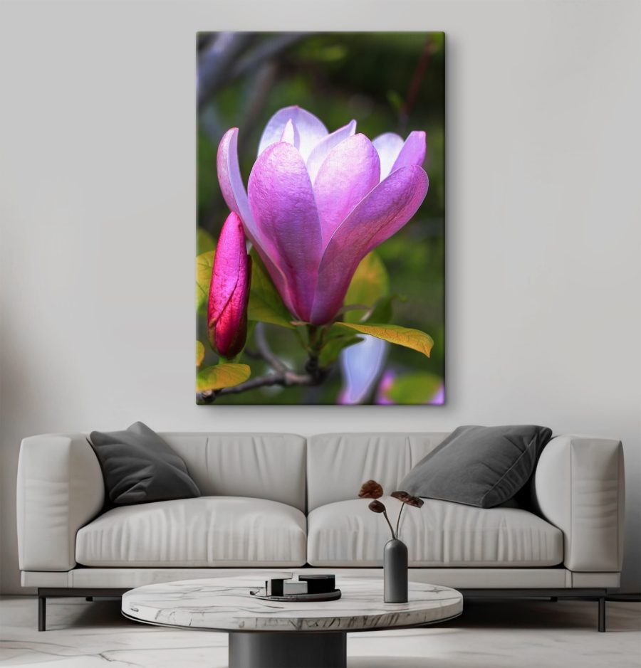 Magnolia : La gracieuse floraison de la nature