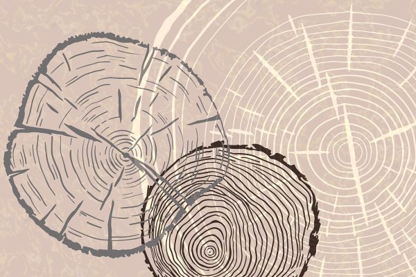 Le temps est gravé dans les mémoires en bois Le temps est gravé dans les mémoires en bois