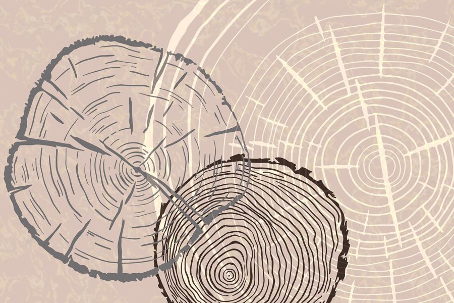 Le temps est gravé dans les mémoires en bois