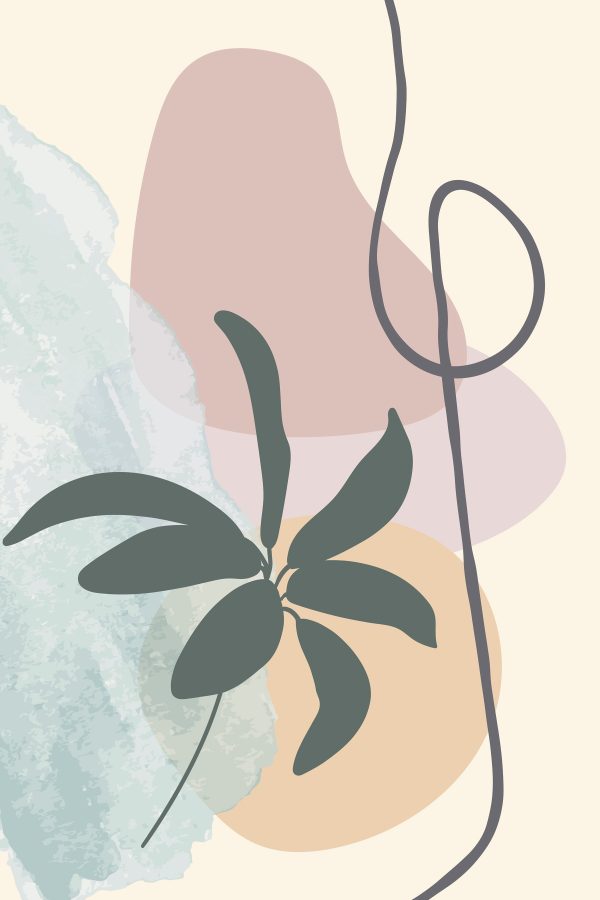 Plante avec des feuilles et une spirale Plante avec des feuilles et une spirale