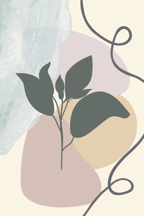 Plante avec des feuilles sur un fond coloré Plante avec des feuilles sur un fond coloré